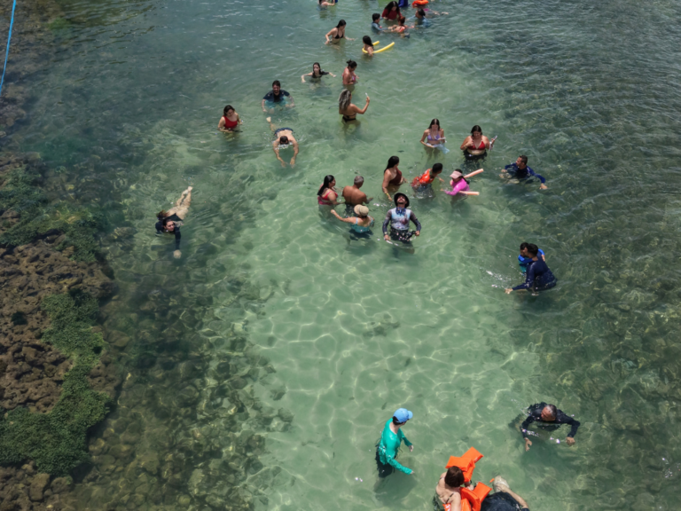 Piscinas Naturais De Picaozinho 1