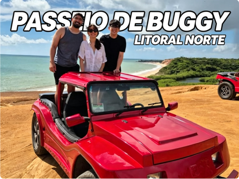 Passeio de Buggy (Litoral Norte e Sul)